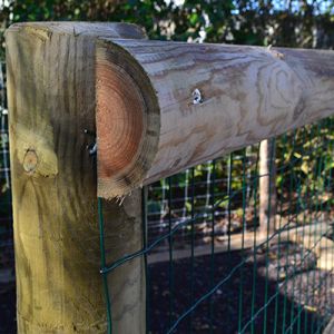 Demi lisse bois sel vert classe 4