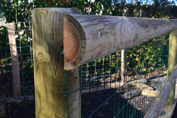 Demi lisse bois sel vert classe 4