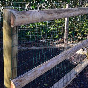 Demi lisse bois sel vert classe 4