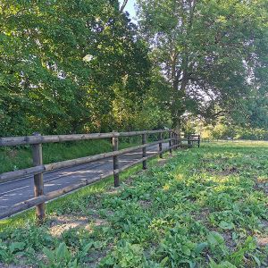 Demi lisse bois noire classe 3