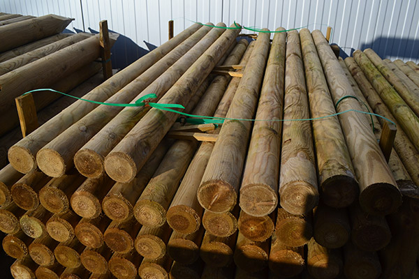 Lisse ronde bois sel vert classe 4