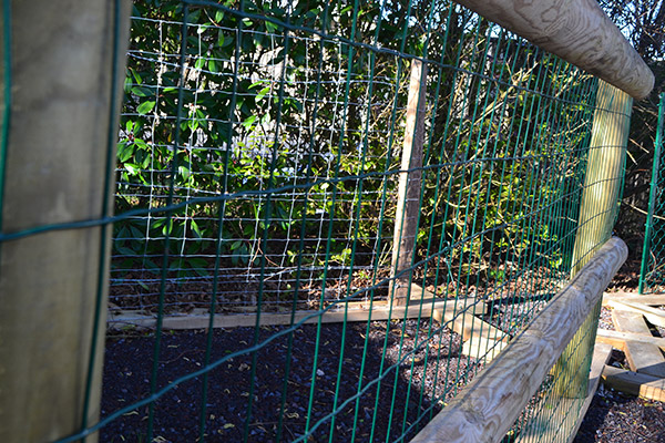 Grillage soudé Jarditor