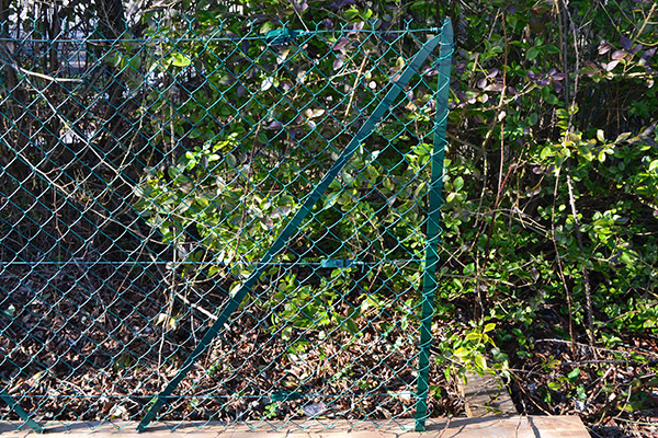 Jambe de force acier en Té