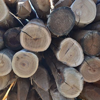 Piquet acacia rond pelé