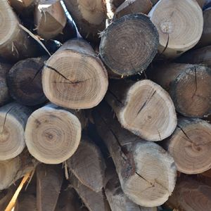 Piquet acacia rond pelé