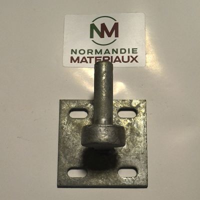 Gond galva sur platine