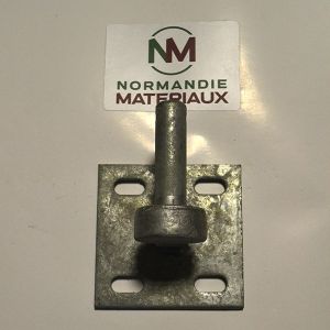 Gond galva sur platine