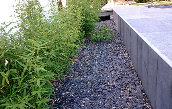 Paillette d’ardoise