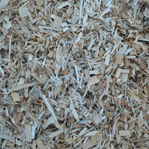 Plaquette de peuplier