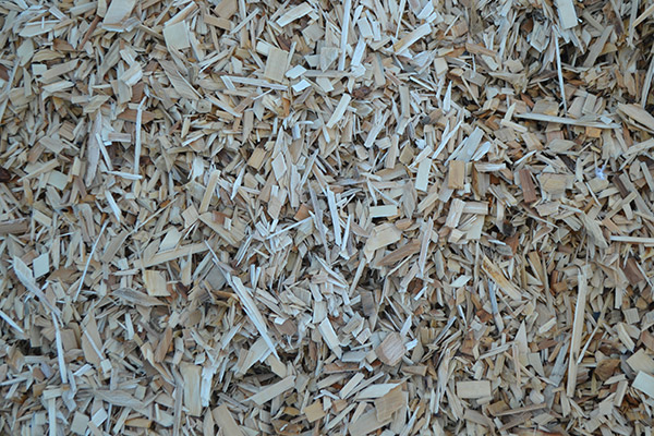 Plaquette de peuplier