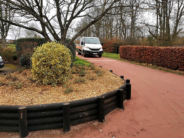 Plaquette de peuplier