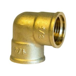 Coude laiton Femelle