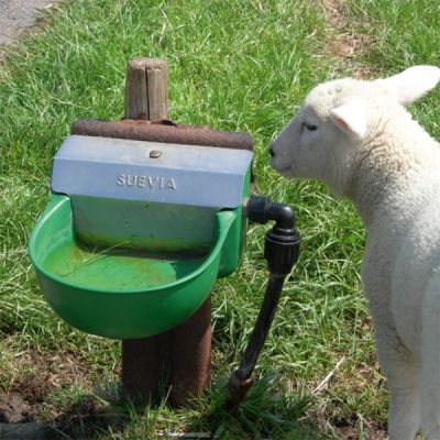 Suevia Abreuvoir Modèle 130P-N synthétique
