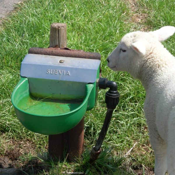 Suevia Abreuvoir Modèle 130P-N synthétique